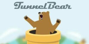 TunnelBear